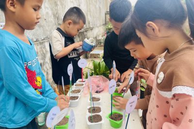 Hoạt động ngoài trời của các con lớp 5TA